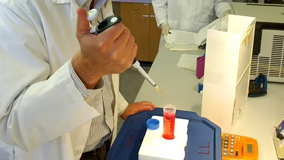 A researcher working in a laboratory setting